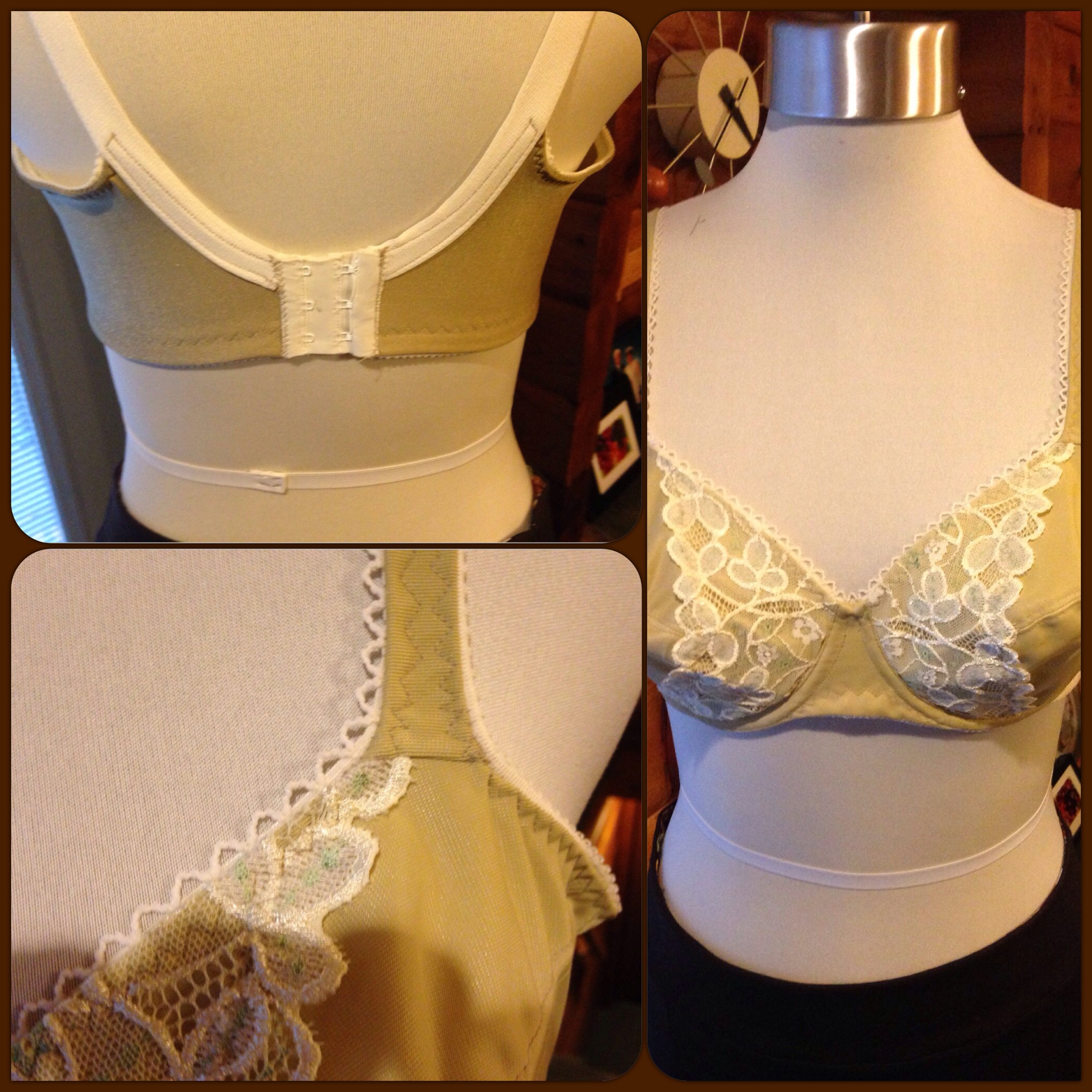 A Craftsy Class Review- Beverly Johnson�s Bra Making Class pic